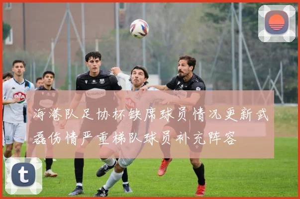 海港队足协杯缺席球员情况更新武磊伤情严重梯队球员补充阵容